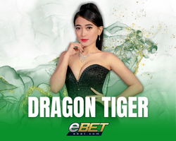 Dragon Tiger