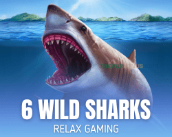 6 Wild Sharks