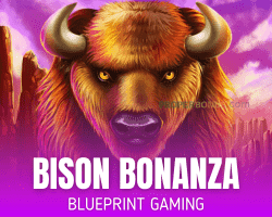 Bison Bonanza