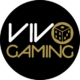 Vivo Gaming game provider logo