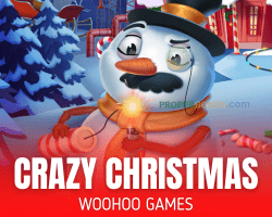 Crazy Christmas