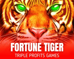 Fortune Tiger