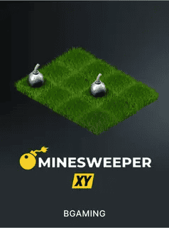 Classic Minesweeper XY game with bombs on a grassy field background.