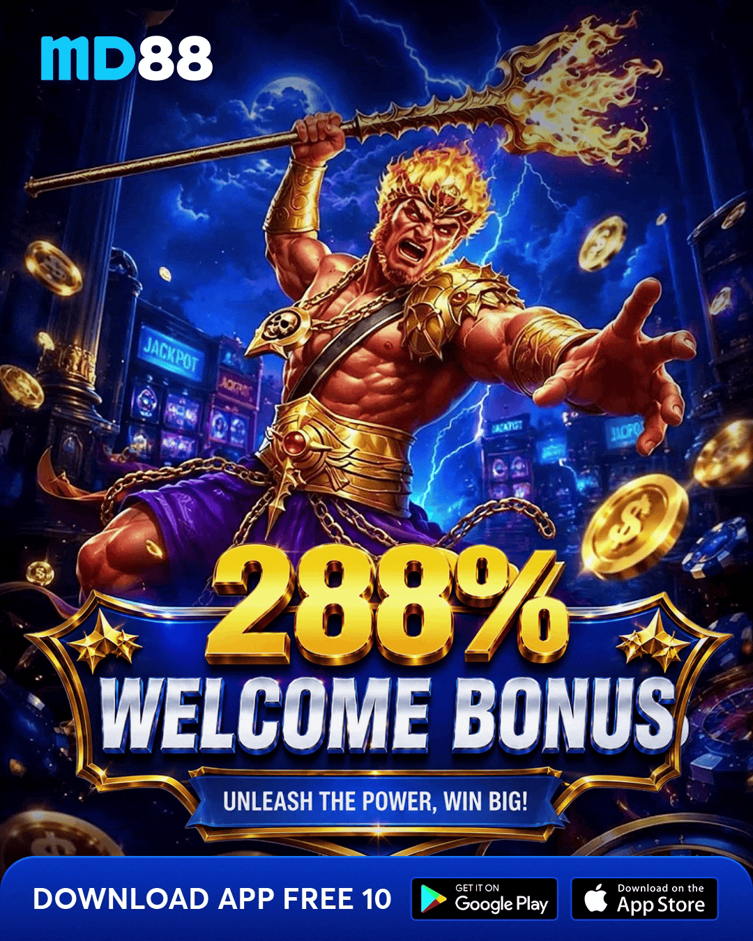Promo Banner